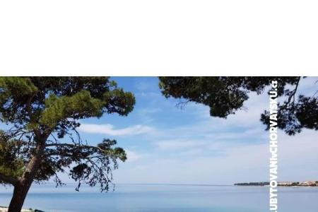 Appartements Ivan  foto 5