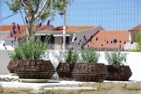 Appartements Vodanović foto 4