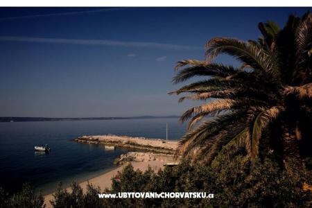 Appartements &amp; Chambres Tomas foto 2