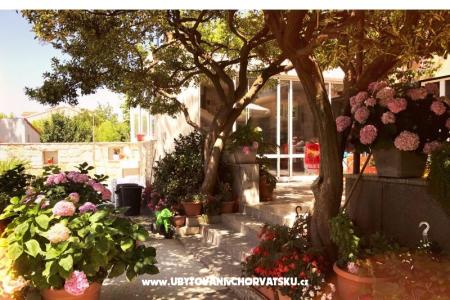 Appartements &amp; Chambres Tomas foto 4