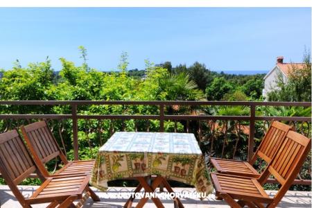 Appartement Dragica foto 4