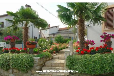 Appartements Milokanović foto 4