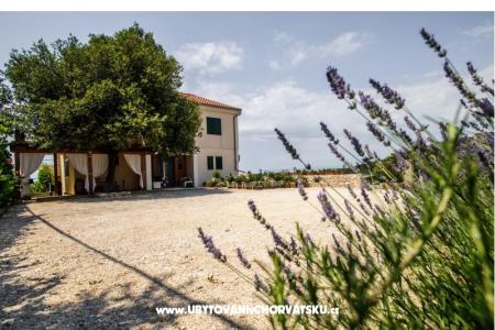 Appartements Andreja Primosten Croatie