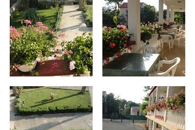 Appartements Ankica foto 5