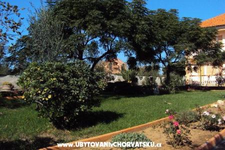 Appartements Barbara foto 2