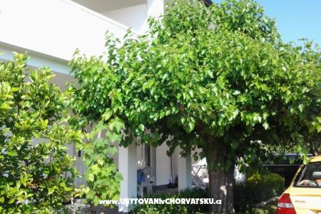 Appartements Snjezana île Rab Croatie