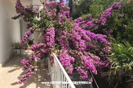 Appartements  Španjol foto 4