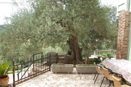 Appartements Dumičić foto 2