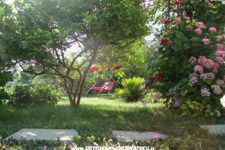 Villa Lolo foto 2