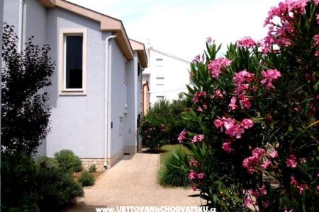 Villa Petra foto 4