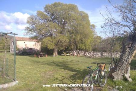 Traditional Istrian Maison ENI foto 4