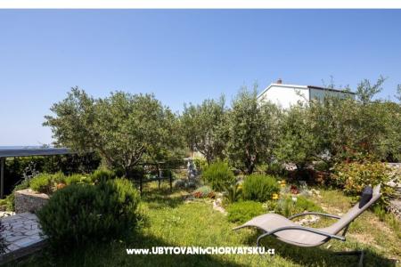 Appartements Vido i Nada foto 5