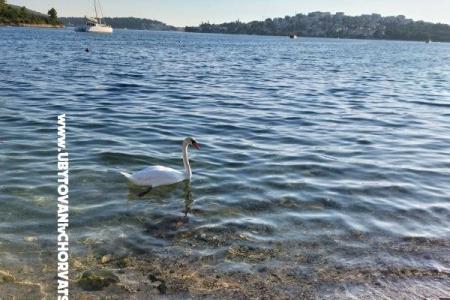 Appartements Crnjac foto 5