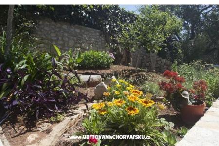 Appartements Miro foto 3