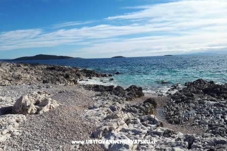 Appartements Punta foto 3