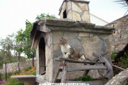 Appartements Rogoznica foto 2