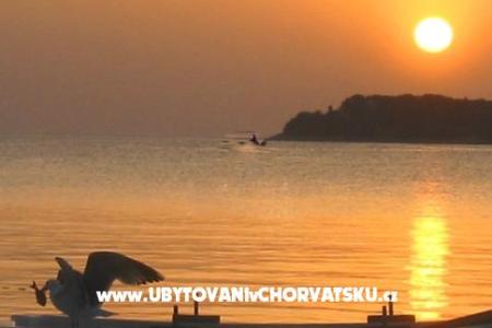 Maxi Appartement foto 4