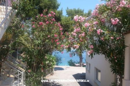 Maison de vacances Milenka foto 4