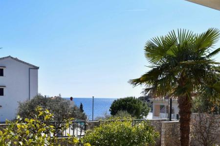 Oliva Ražanj foto 4