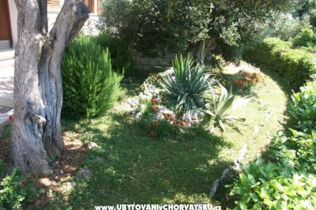 Santa Chiara Appartements foto 5