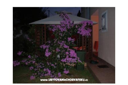 Appartement more foto 2