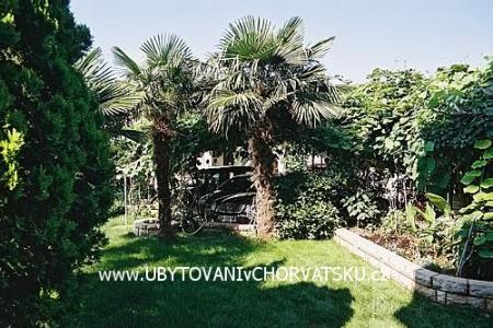 Appartements BOS-KO foto 3