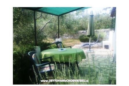 Appartements Oliva - Otok Šolta foto 3