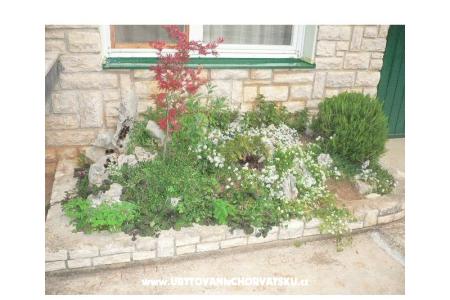 Maison de vacances Goga foto 4