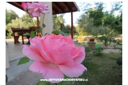 Maison de vacances Dević foto 2