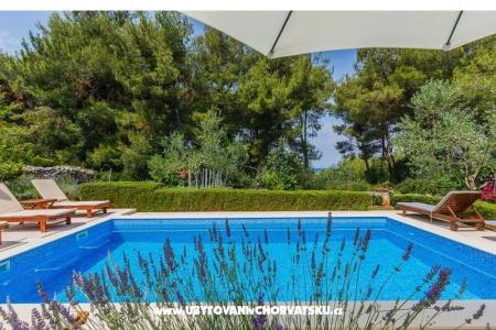 Villa Kamenica foto 4