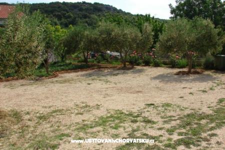 Appartementt Anđelić foto 5