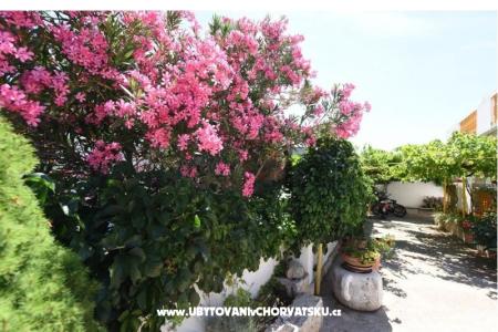 Appartements M.A.I.S.  foto 2