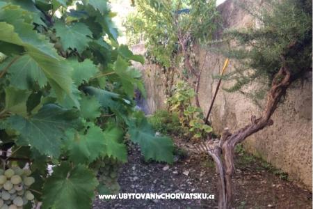 Appartements Adria foto 5