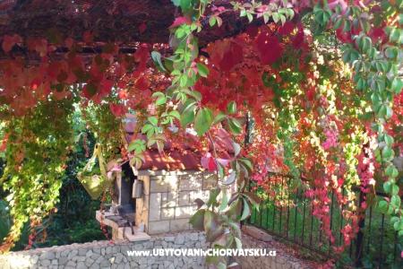 Appartements Ivana foto 3