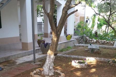 Appartements Mario Đidara foto 4