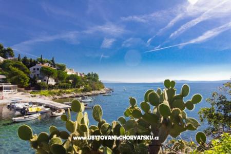 Appartements ŠUKI foto 5