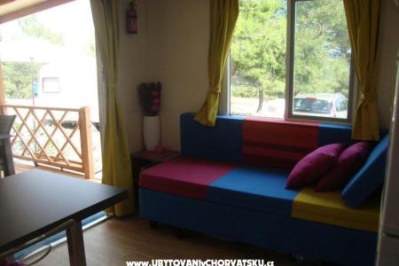  Luxury mobile homes foto 4