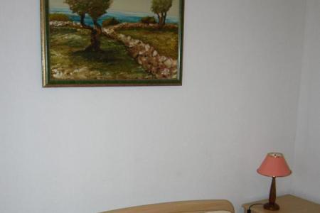 Maslinov dvor foto 2