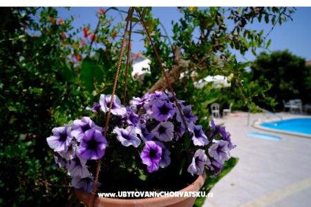 Pension Jeric foto 5