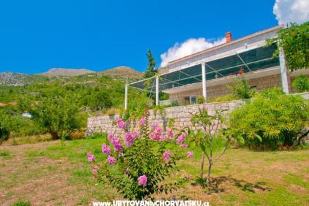 Villa Boskovic foto 2