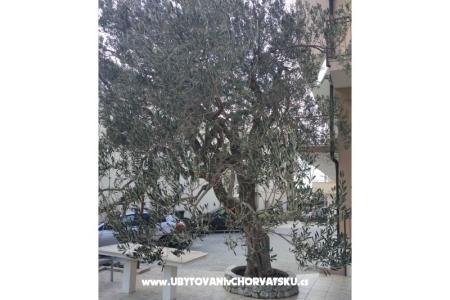 Apartmani Mena foto 4