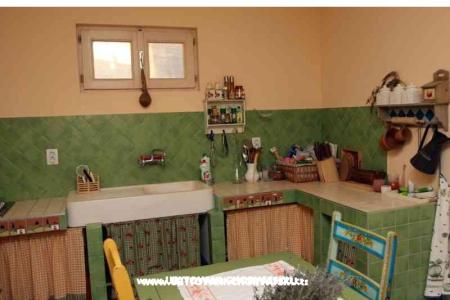 Maison de vacances Buselic foto 4