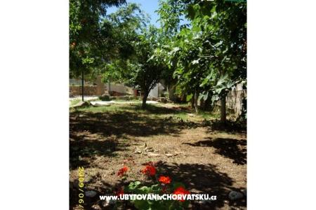 Maison de vacances Villa Jadran foto 5