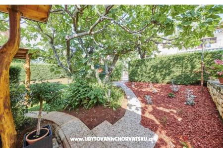 Appartements Boris foto 5