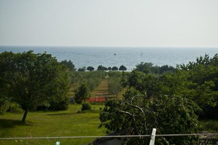 Appartements Paradinovic foto 2