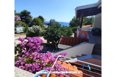 Appartements Delfin île Vir Croatie