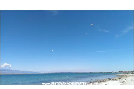 Appartements Alma île Vir Croatie