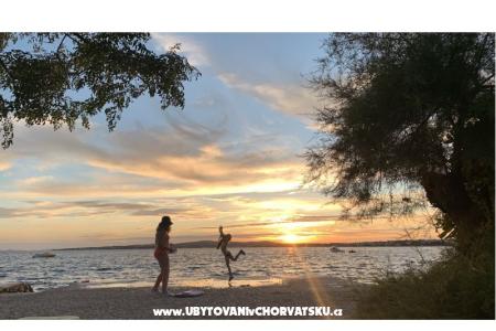 Appartements Dervić  île Vir Croatie