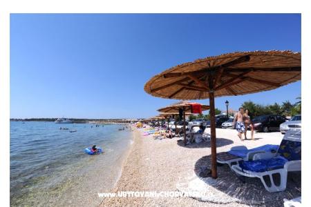 Appartements Lavanda Centar île Vir Croatie