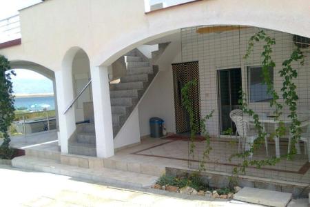 Appartements Nedić île Vir Croatie